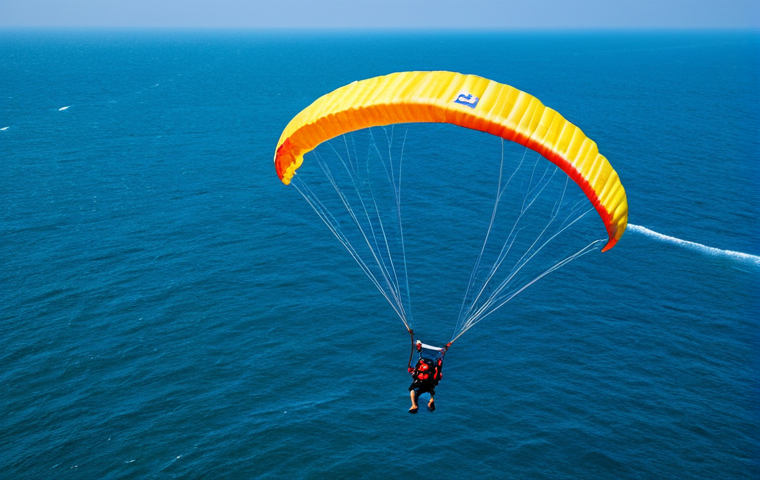 패러글라이딩 데이트 - A professional photograph of a paraglider, fully clothed, flying above the scenic landscapes of Nand...
